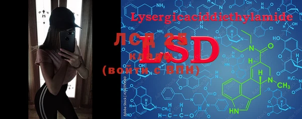PSILOCYBIN Богданович
