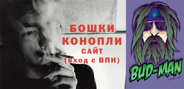 молекула духа Бугульма