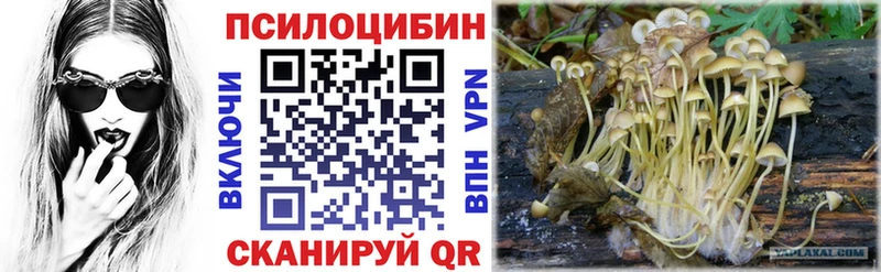 Псилоцибиновые грибы Cubensis  Купить  Микунь 